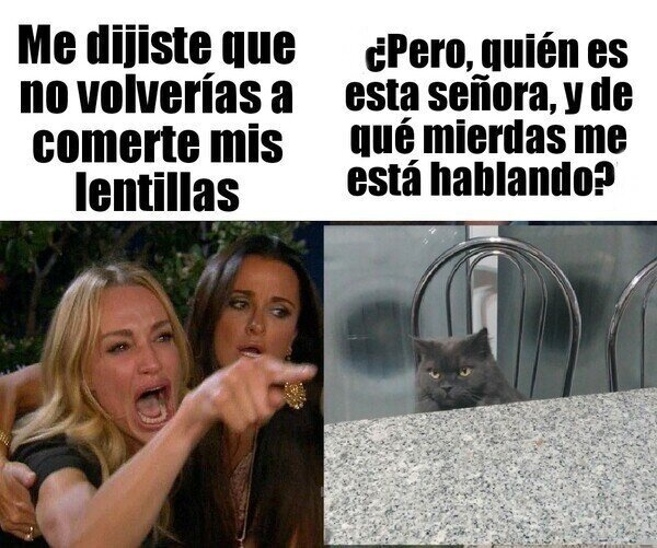 Meme_otros - Se equivocó de gato