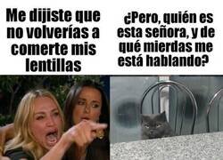 Enlace a Se equivocó de gato