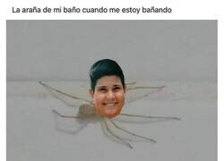 Enlace a Me está mirando...