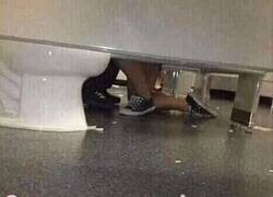 Enlace a Qué bonito es presenciar una pedida de matrimonio en directo