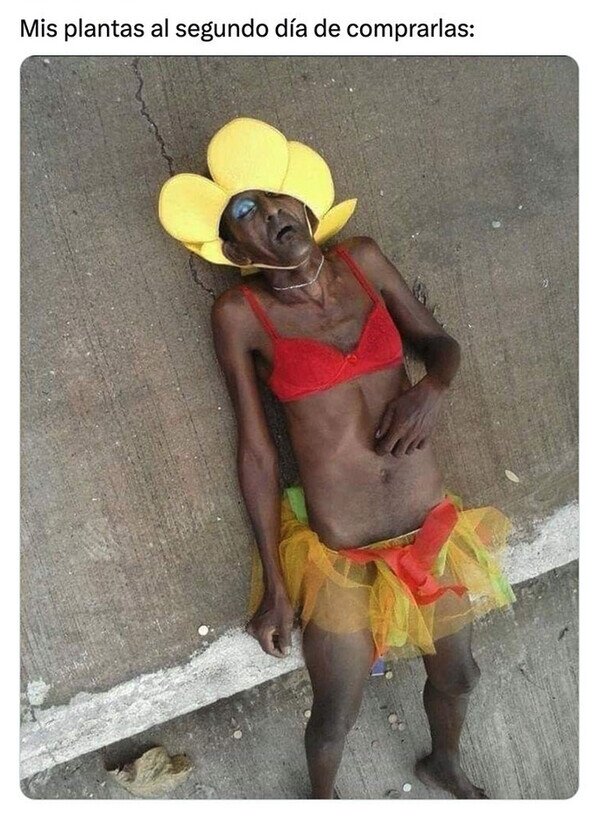 Meme_otros - Se ponen pochas