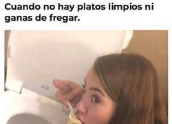 Enlace a Última opción