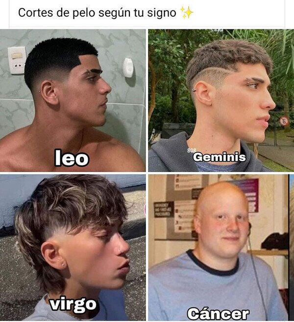 Meme_otros - Perdón de antebrazo