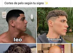 Enlace a Perdón de antebrazo