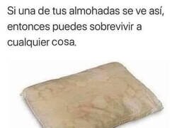 Enlace a Inmune a cualquier enfermedad