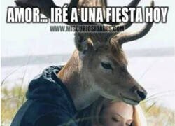 Enlace a Se viene cornamenta