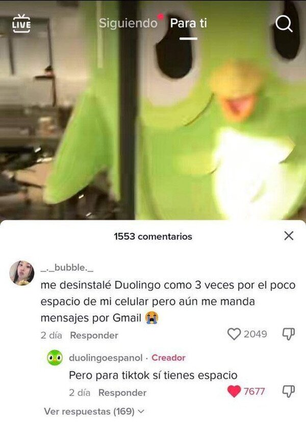 Meme_otros - Duolingo está desatado