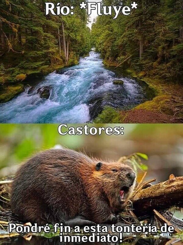 Meme_otros - No están de acuerdo con eso