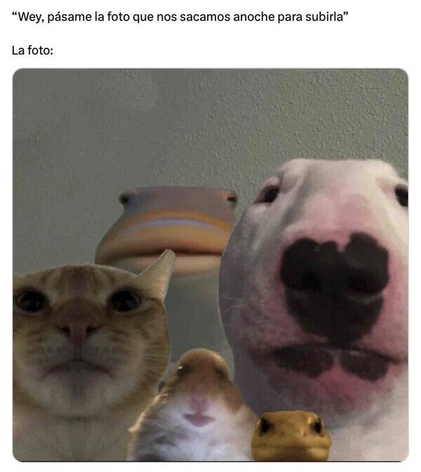 Otros - Los pibes y yo