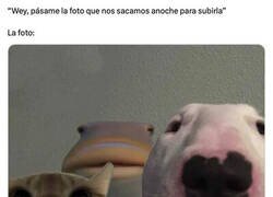 Enlace a Los pibes y yo