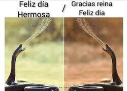 Enlace a Mujeres saludándose entre ellas