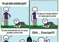 Enlace a Ven a comer a mi casa