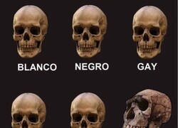 Enlace a Los que creen