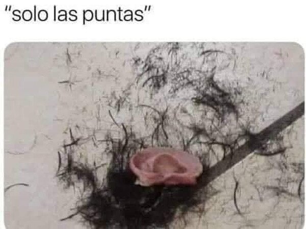 Meme_otros - El hdp del peluquero