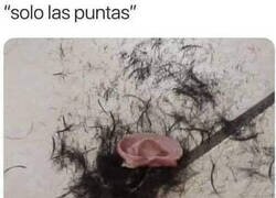 Enlace a El hdp del peluquero