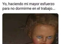 Enlace a Pesan los párpados