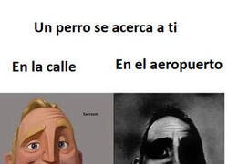 Enlace a ¡Quita, chucho!