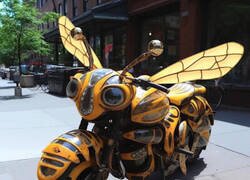 Enlace a ¿Cómo será la del ornitólogo?