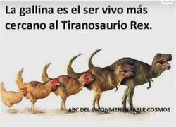 Enlace a Tiene sentido