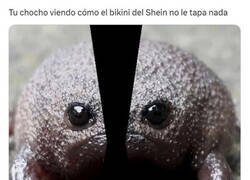 Enlace a No tapa nada