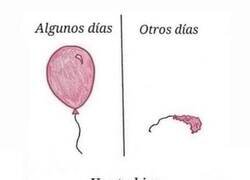 Enlace a Lección de vida