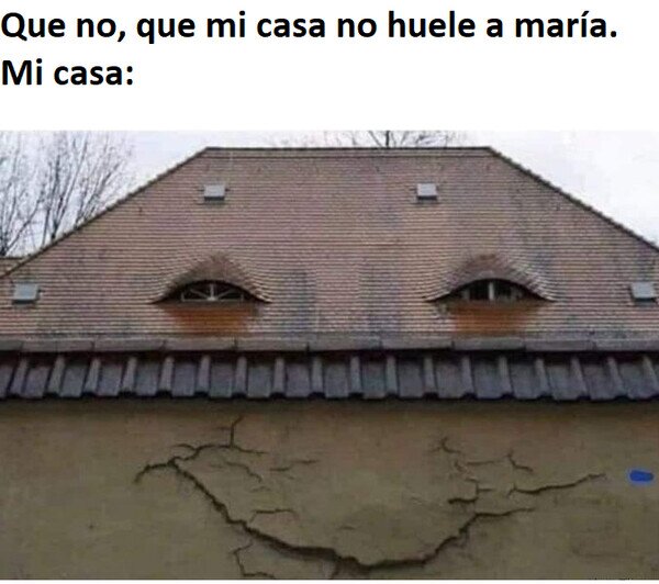 Meme_otros - Mi casa va más fumada que yo