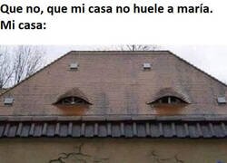 Enlace a Mi casa va más fumada que yo