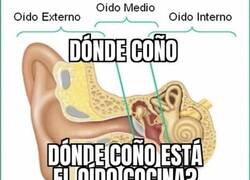 Enlace a Se oye mucho pero no sé dónde está