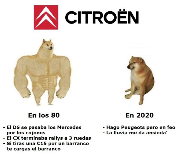 Meme_otros - La decadencia de Citroen