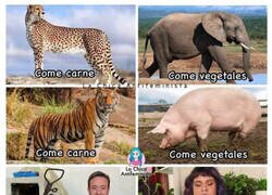 Enlace a Da que pensar...