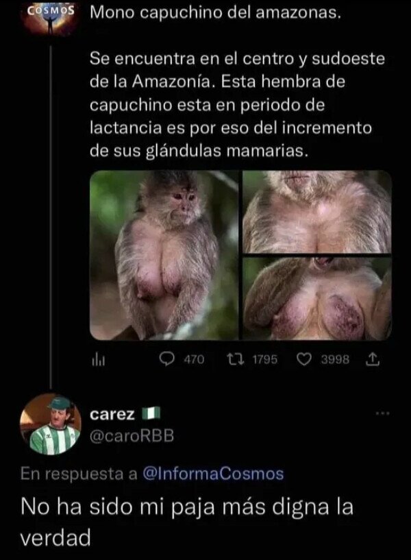 Meme_otros - Hay mucho enfermo por ahí...
