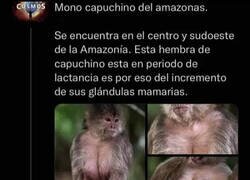 Enlace a Hay mucho enfermo por ahí...