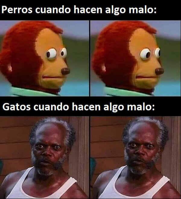 Meme_otros - No dejan de mirarte a la cara