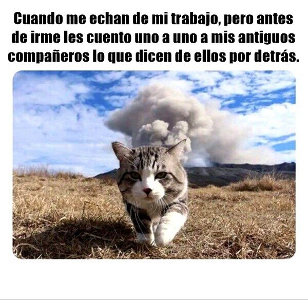 Meme_otros - Cuando eres de los que se van haciendo ruido...