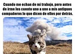 Enlace a Cuando eres de los que se van haciendo ruido...