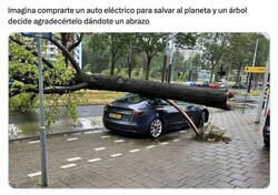 Enlace a El planeta te lo agradece