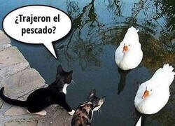 Enlace a Trato entre bandas