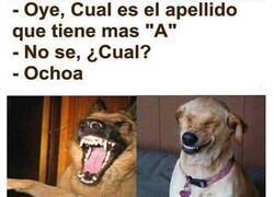 Enlace a No lo hubiera dicho