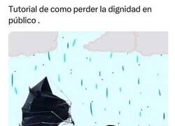Enlace a Peleando contra el clima