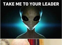 Enlace a Bastante turbio