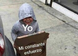 Enlace a La vida es dolor