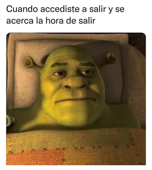 Otros - ¿Por qué debí decir que sí?