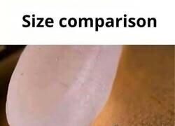 Enlace a ¿Por qué hacen las X tan minúsculas?