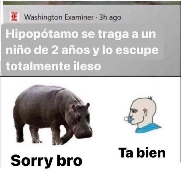 Meme_otros - Ha sido sin querer...