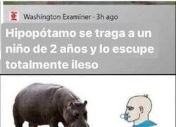 Enlace a Ha sido sin querer...