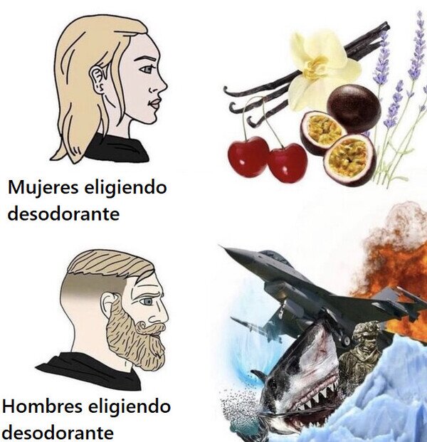 Meme_otros - Las características que nos llaman la atención