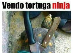 Enlace a ¡Una de las de verdad!