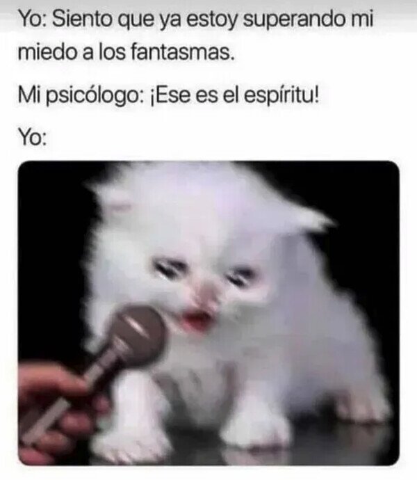 Meme_otros - Todos los progresos de la terapia, al traste