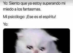 Enlace a Todos los progresos de la terapia, al traste