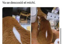 Enlace a ¿Eso puede pasar?